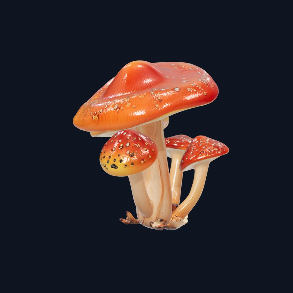 Enchanted Forest Mushroom Collection model pack